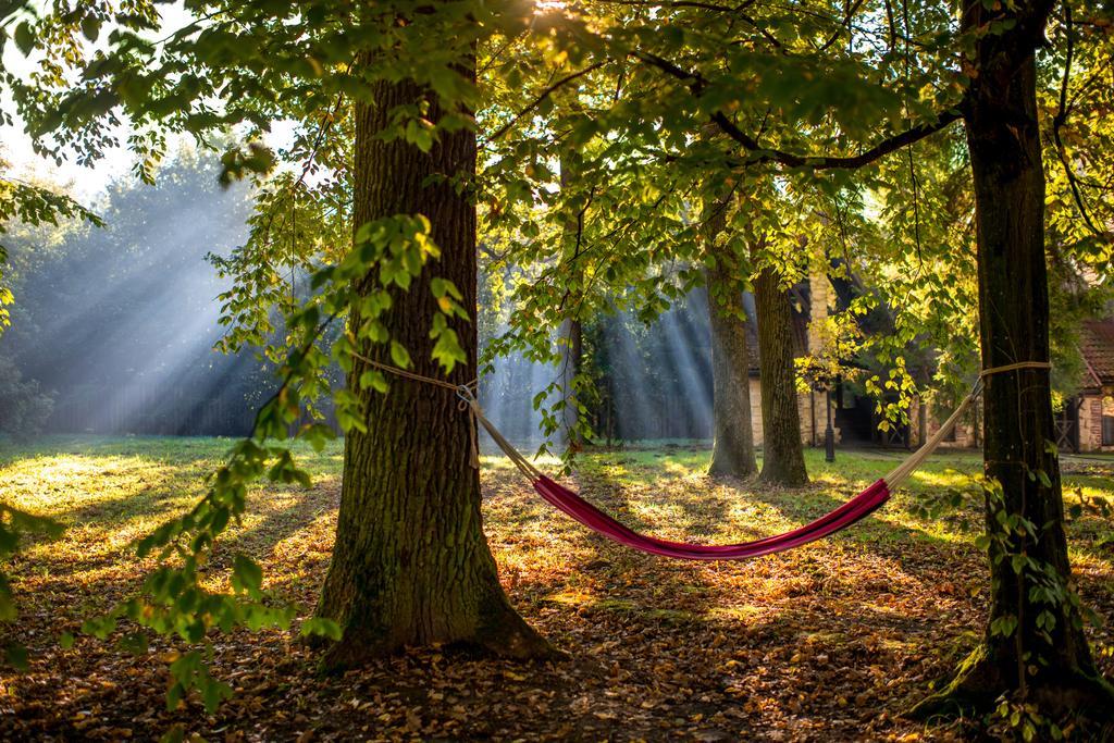 Drevny Grad Park-hotel Lwów